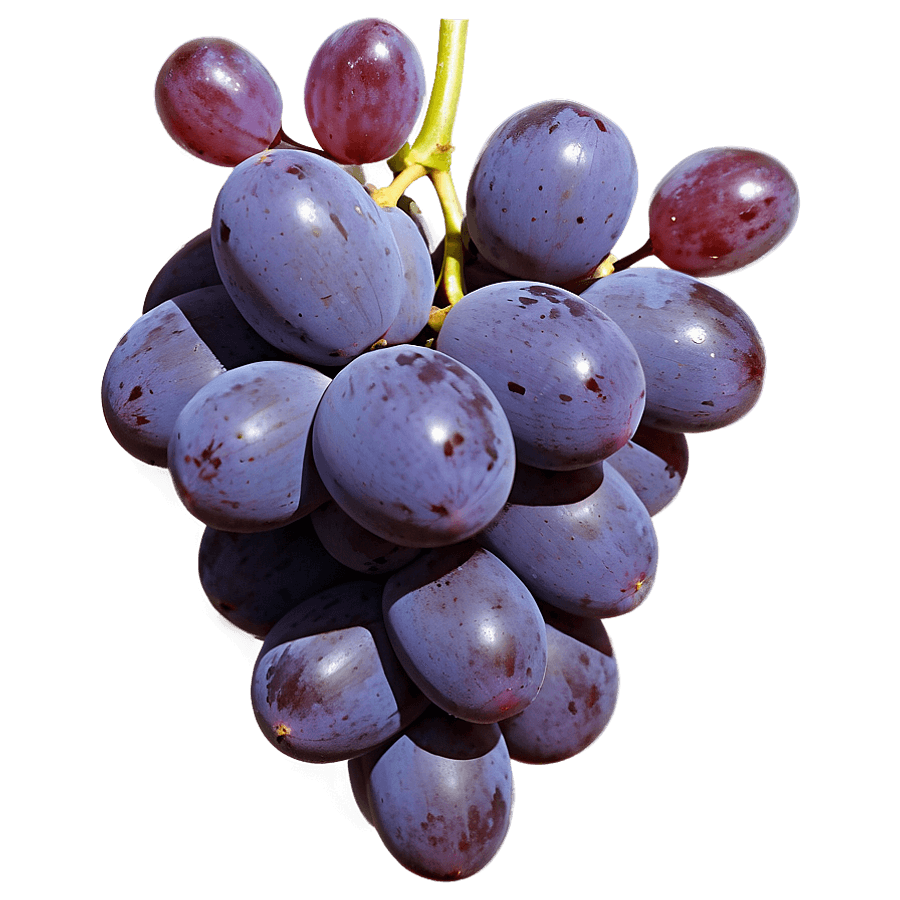 High-Quality Grape PNG arg95