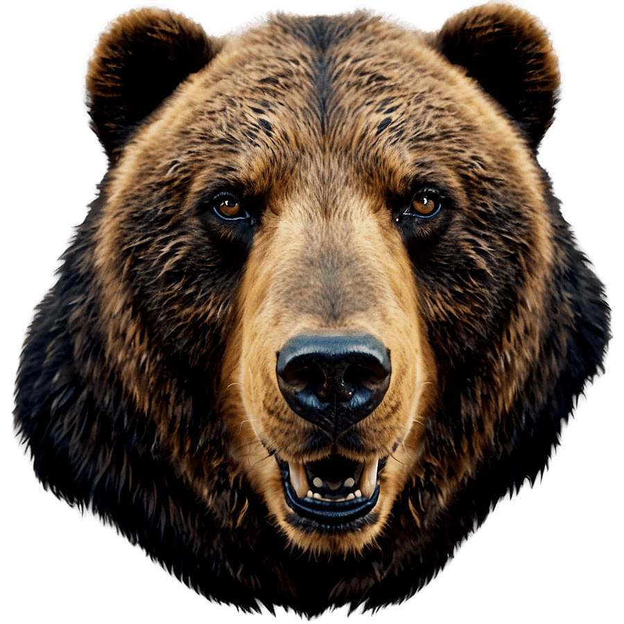 Bear Head with Paw PNG 06292024