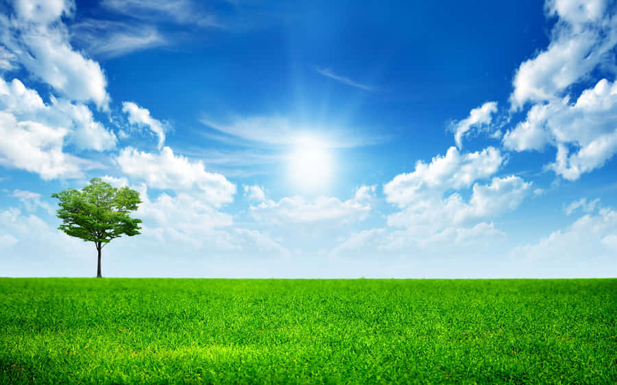 Solrig Dag 2560 x 1600