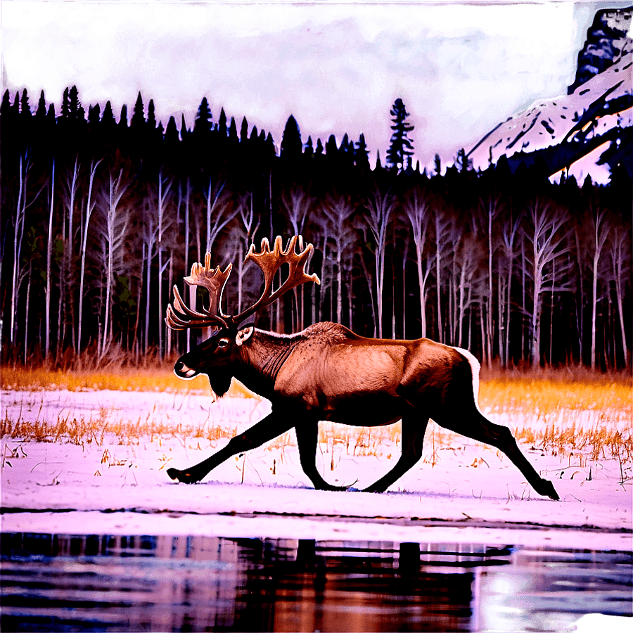 Caribou Crossing Snowy Field PNG 06292024