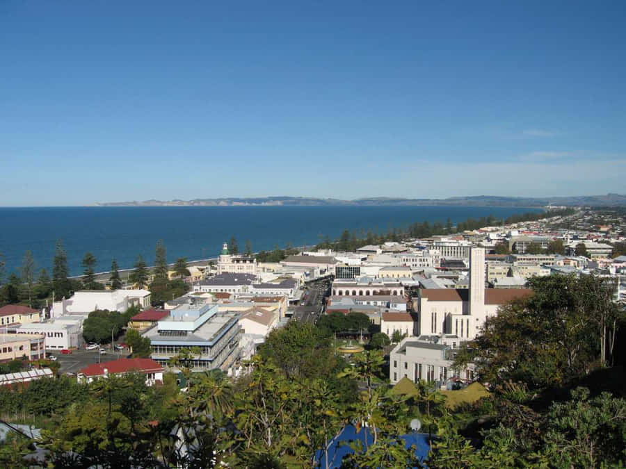 Panorama di Napier, Nuova Zelanda