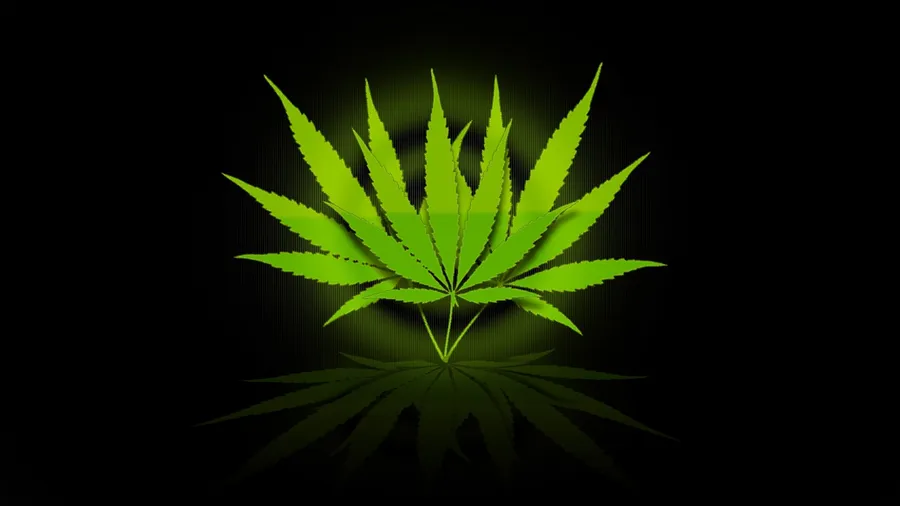 Marijuana Leaf With Circle Ring
