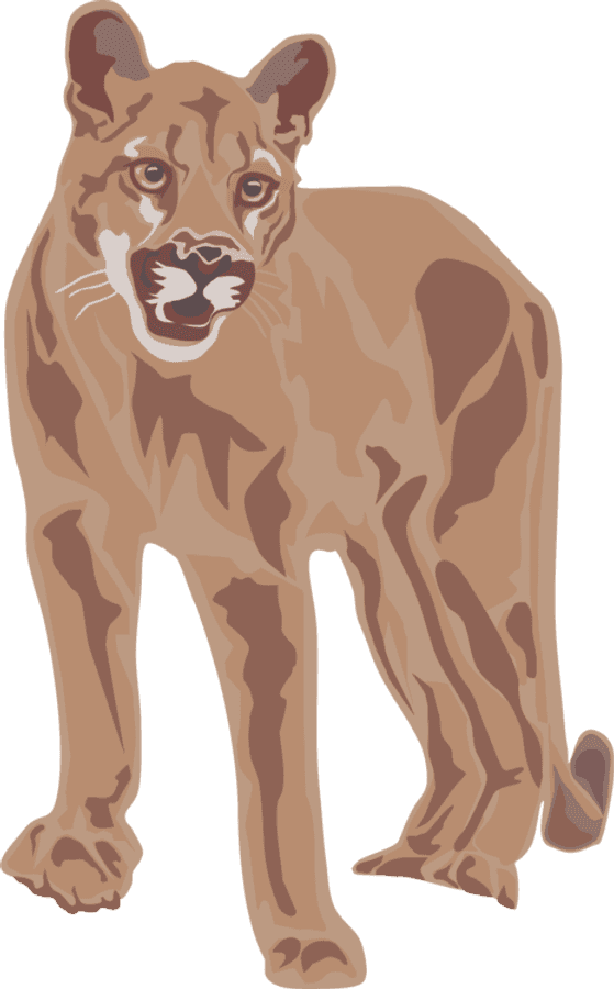 Alert Puma Illustration
