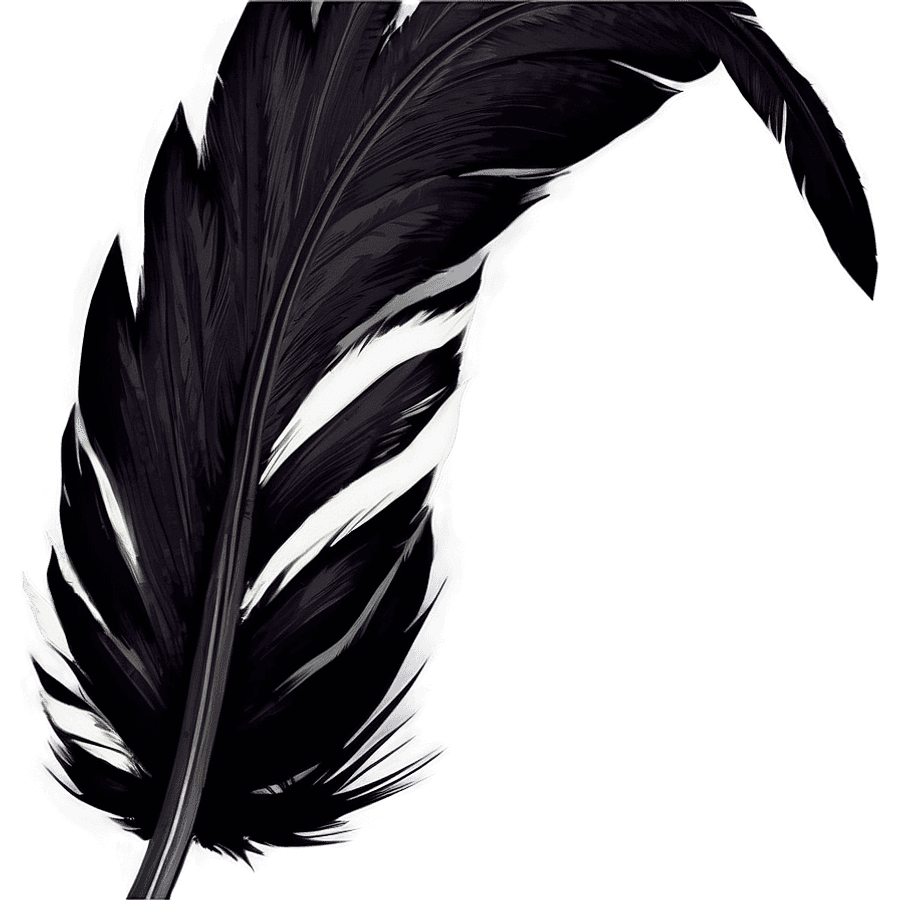 Black Aesthetic Elegant Feather PNG 24