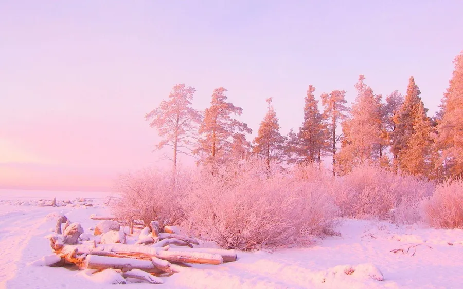 Pink Trees