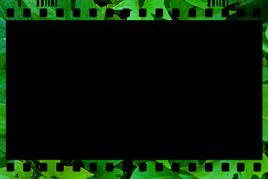Green Filmstrip Frame Background