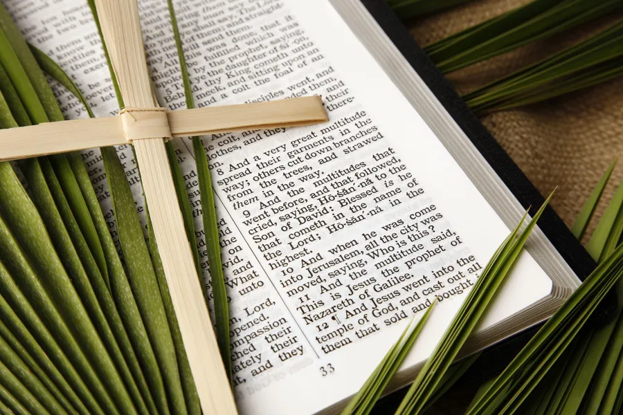 Scripture Pictures