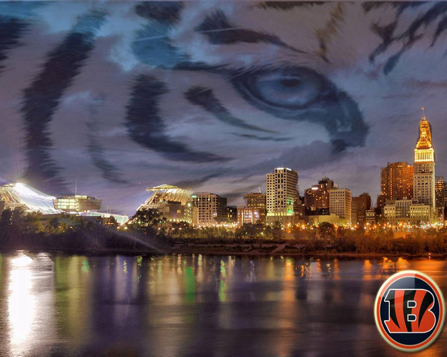 Cincinnati Bengals And Skyline