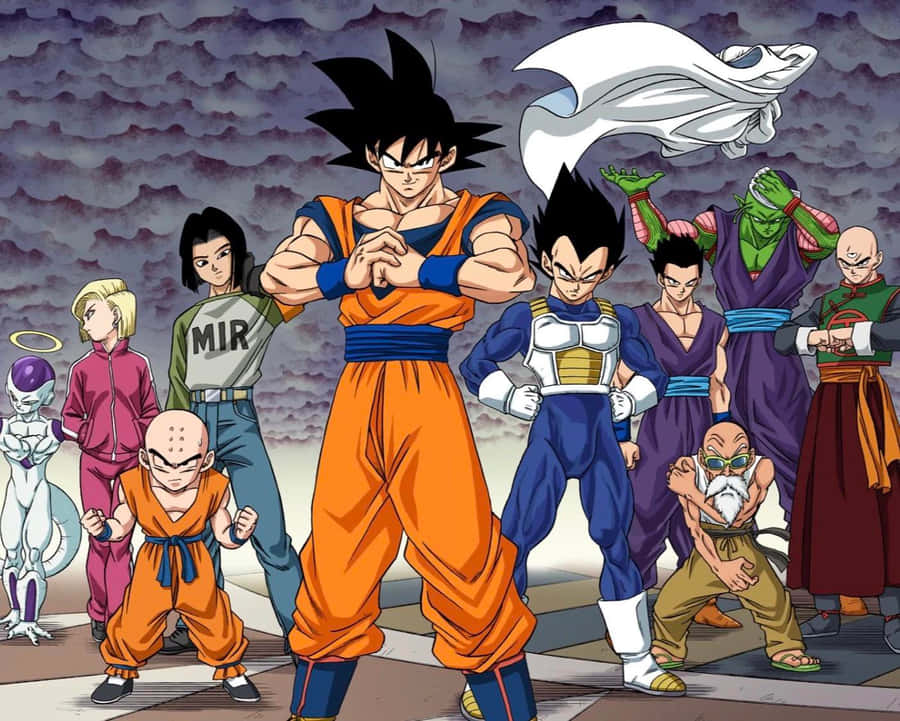 Dragon Ball Z Team Klar for Kamp