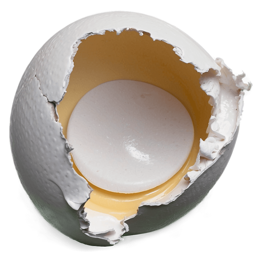 Eggshell Split PNG 15