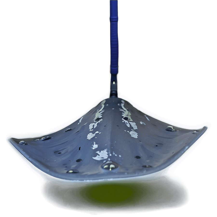 Stingray Feeding Time PNG 61