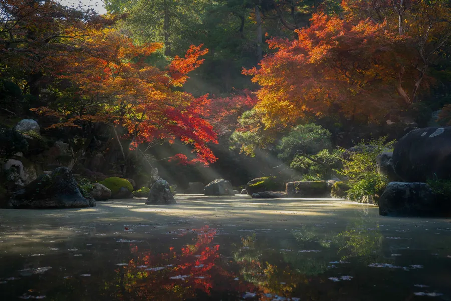 Nature Background