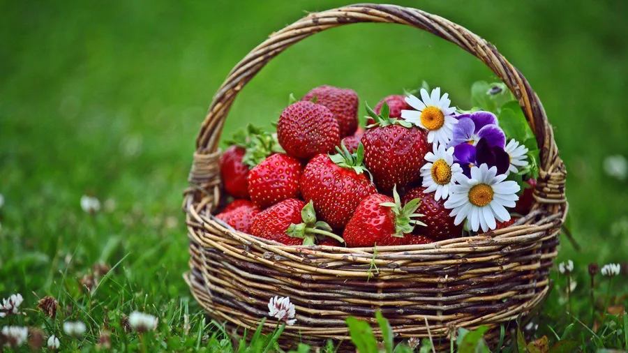 Strawberry background