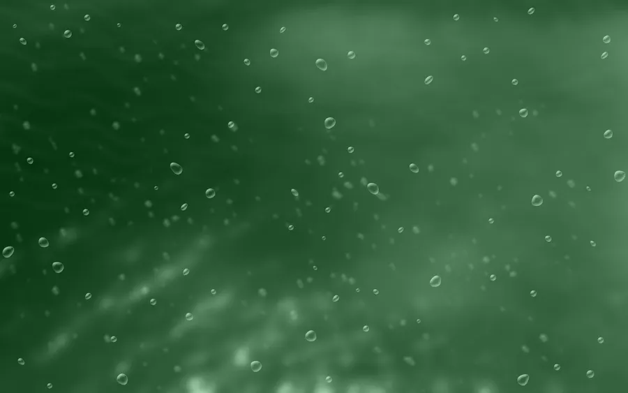 Solid Green Background