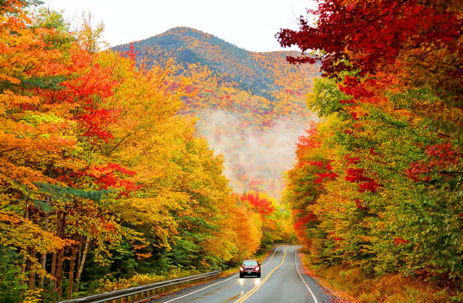 Highway Billeder 2140 x 1401