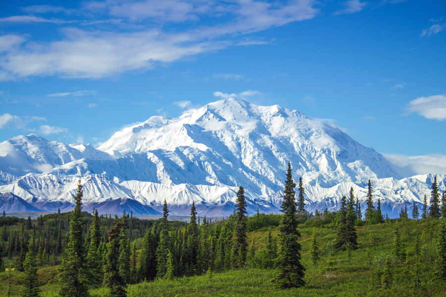 alaska Pictures