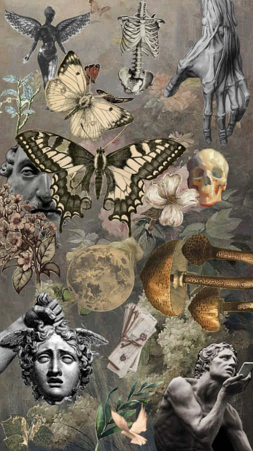 Collage Vittoriano di Natura e Artefatti.jpg
