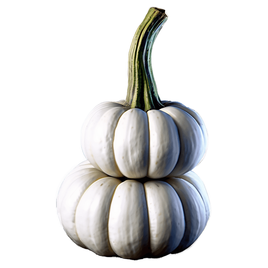 White Pumpkin Stack PNG 06212024