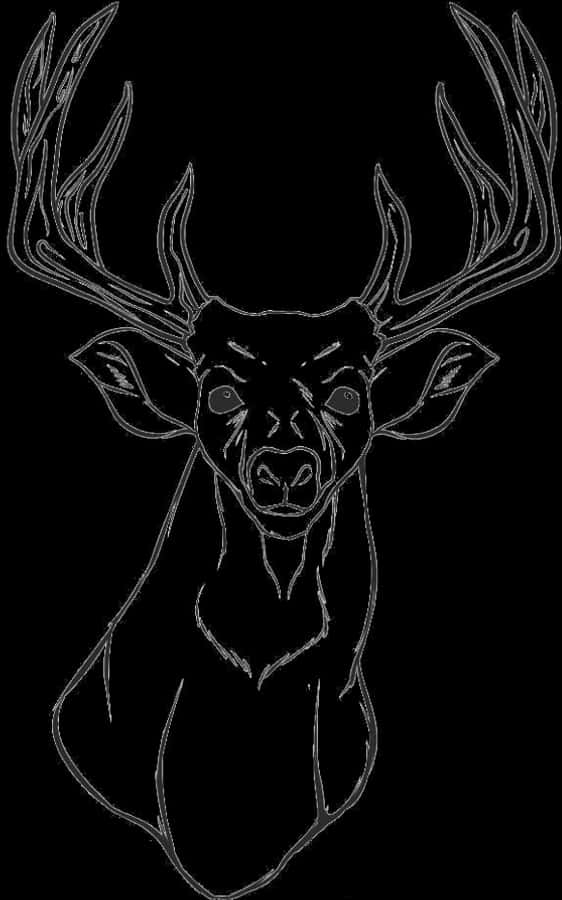 Majestic Deer Sketch Art