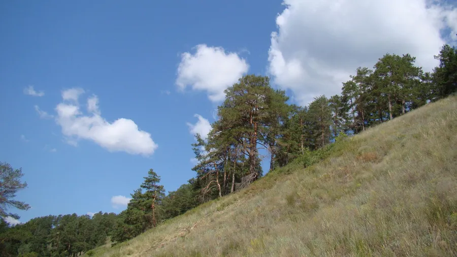 Dry Mountain Slope