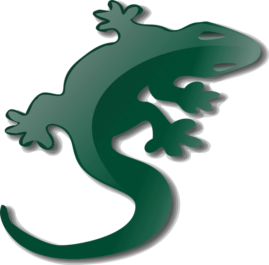 Green Gecko Graphic