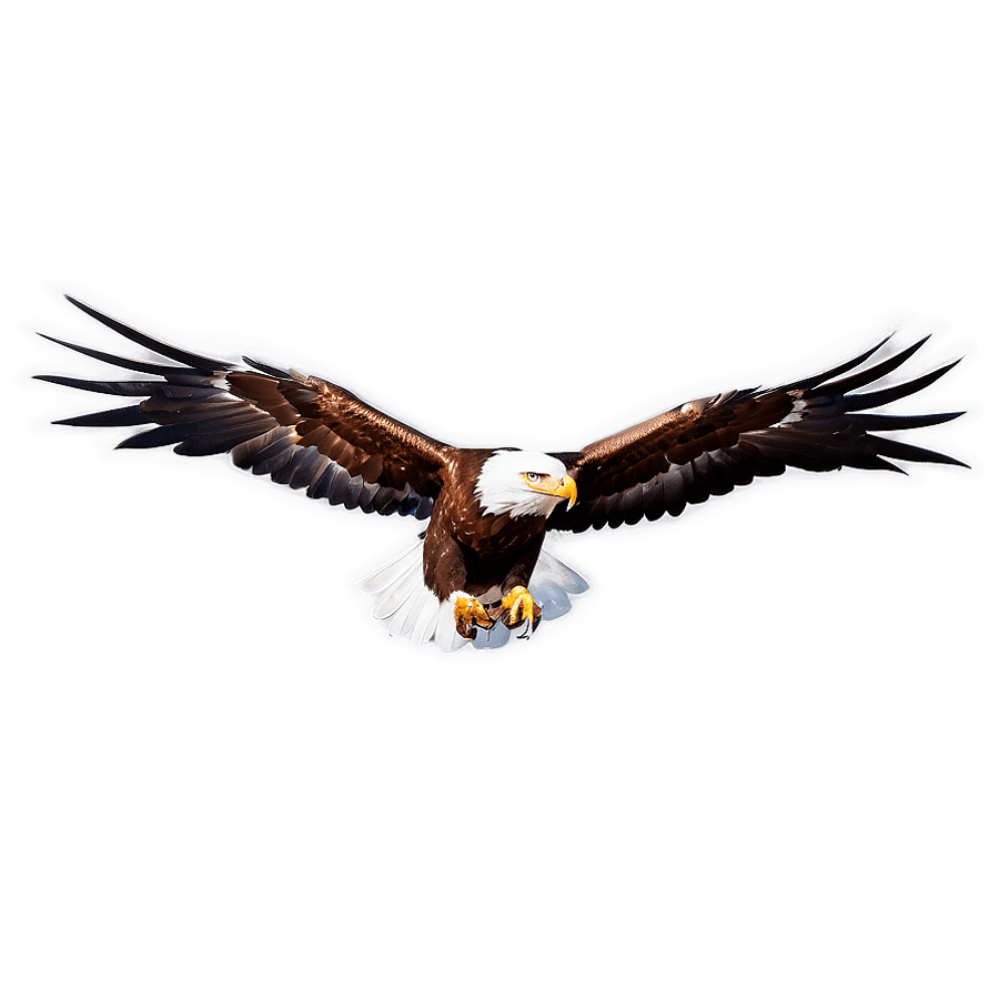 Golden Eagles PNG 82