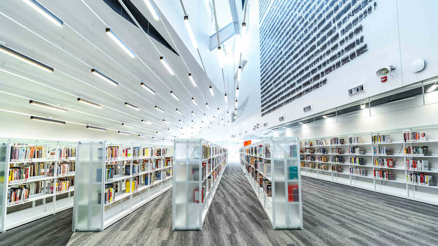 EineBibliothek mit Regalen und Büchern auf dem Boden