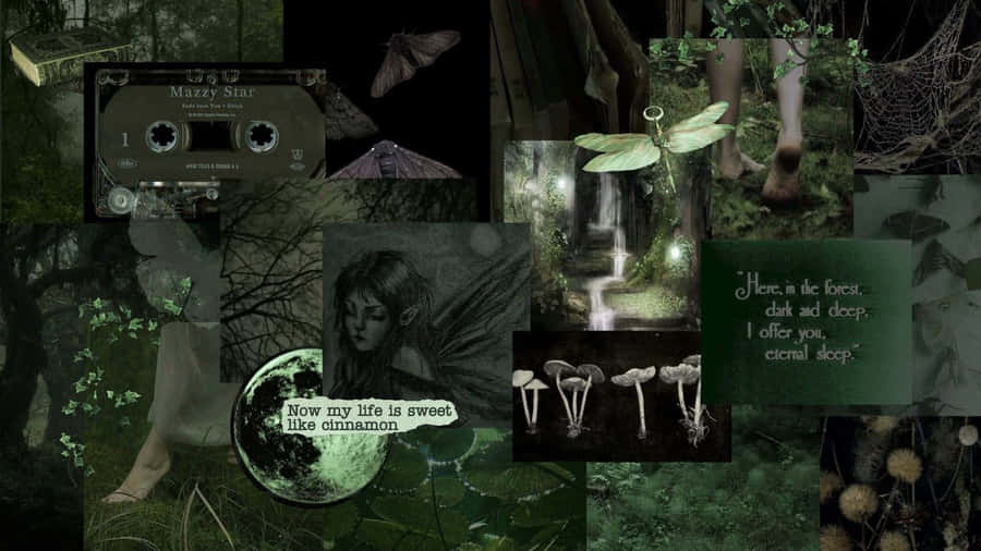 Moodboard Fairycore Grunge