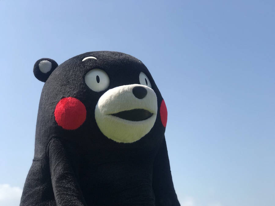 Download Adorable Kumamon Mascot Wallpaper | Wallpapers.com