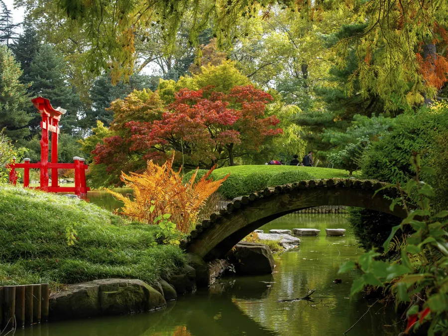 Brooklyn botanic garden wallpaper