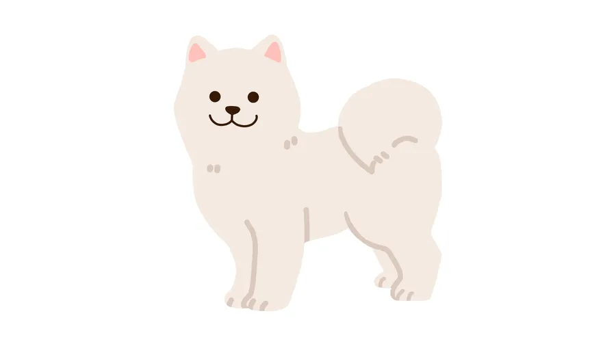 Cute White