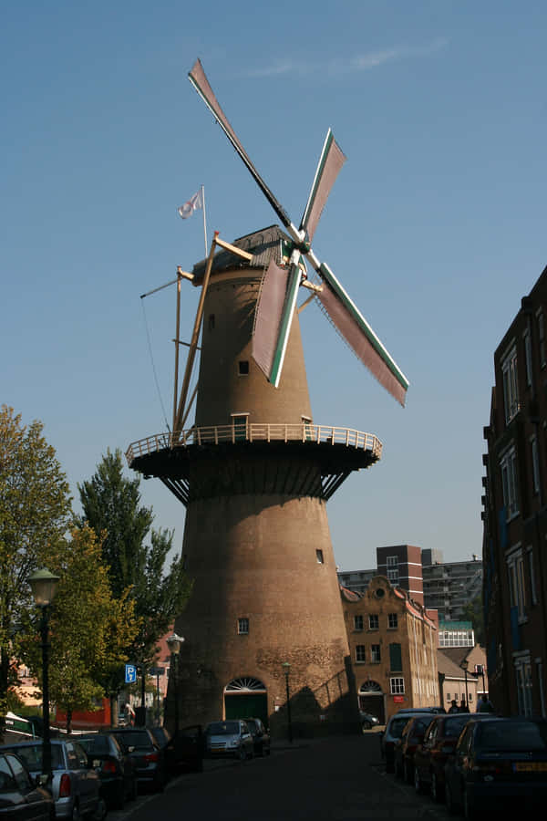 Vista da Rua do Moinho de Ventos de Schiedam