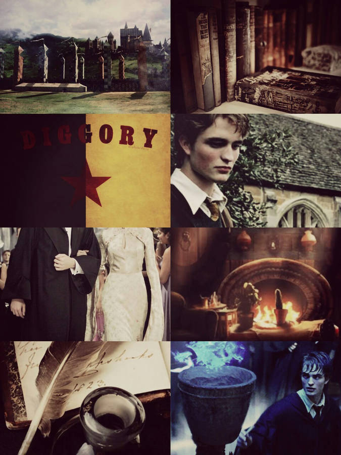 Download Aesthetic Harry Potter Cedric Diggory Wallpaper | Wallpapers.com