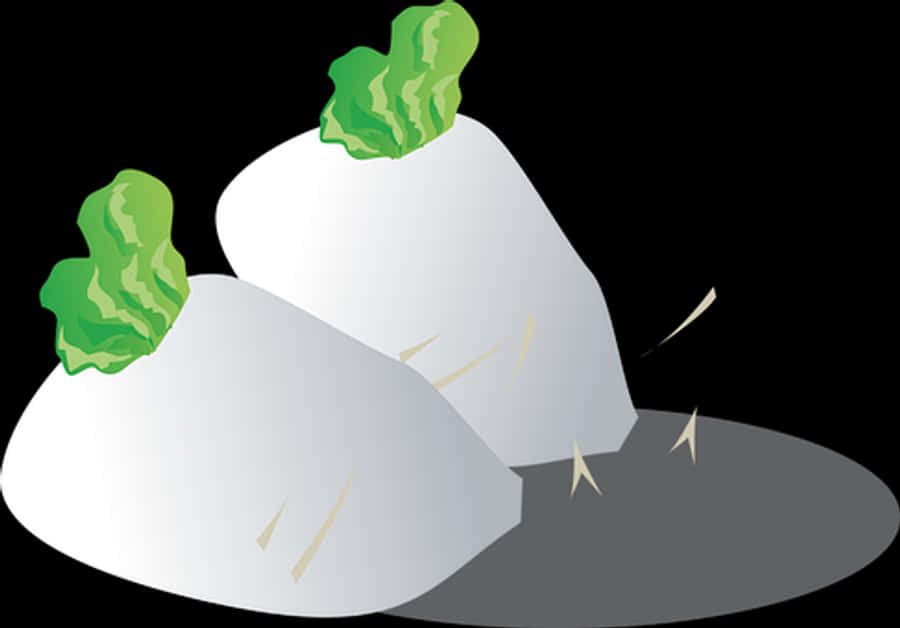 Turnip Vector Illustration