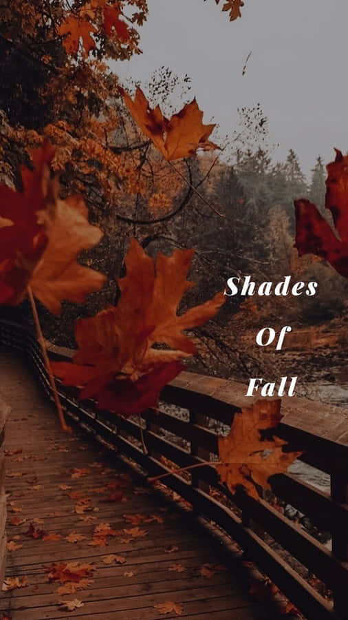 Shades Of Vintage Aesthetic Fall