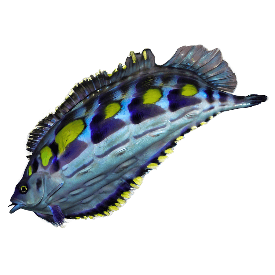 Deep Sea Reef Exploration PNG 67