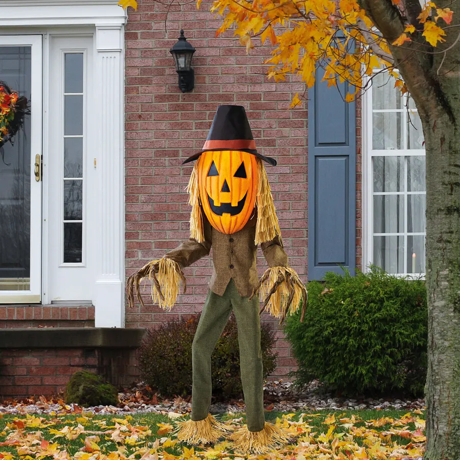 Pumpkin Head Pictures