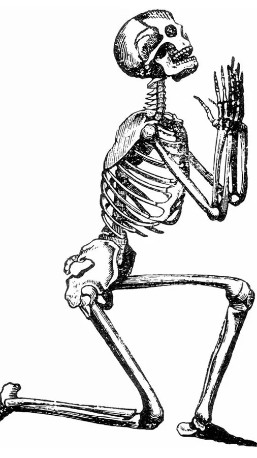 Pleading skeleton meme wallpaper