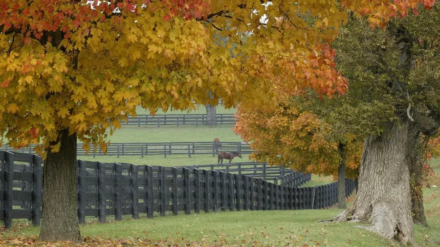 Farm Background