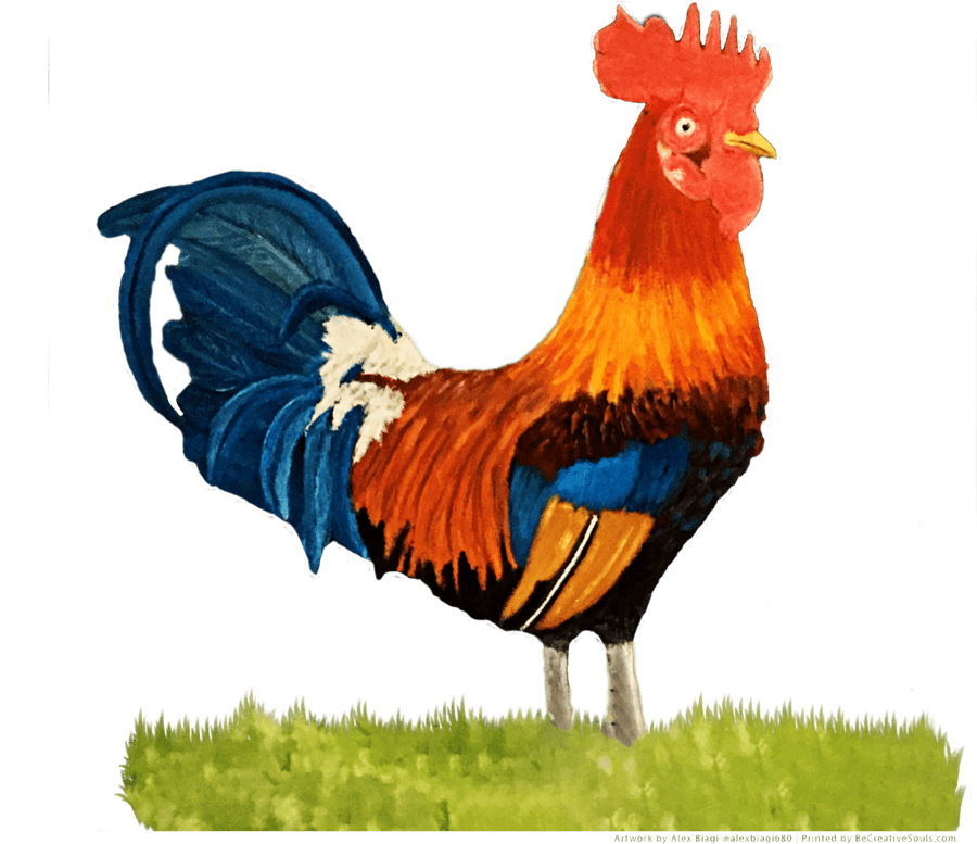 Colorful Rooster Standing