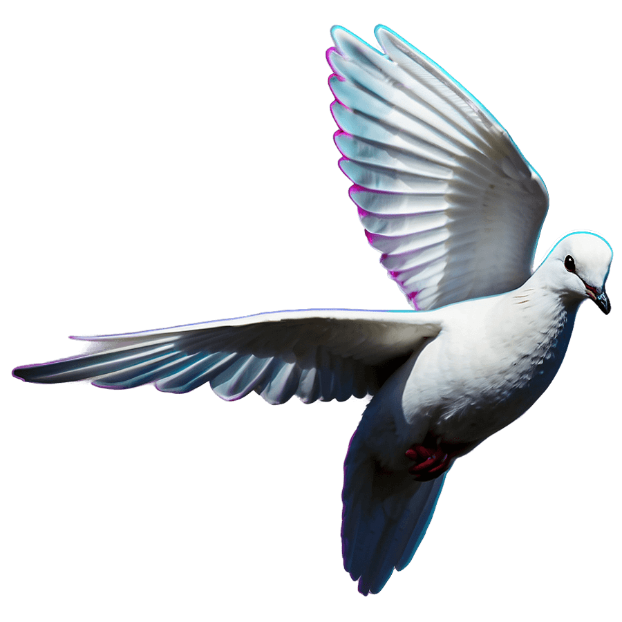White Dove Graphic PNG jkb14