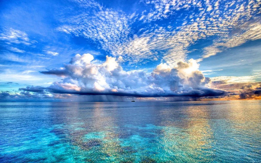 paradise Background