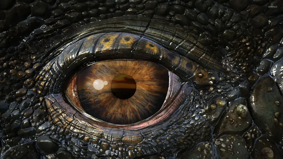 Real Dragon
