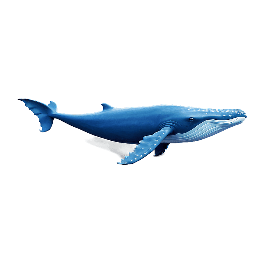 Blue Whale in Arctic Waters PNG far34