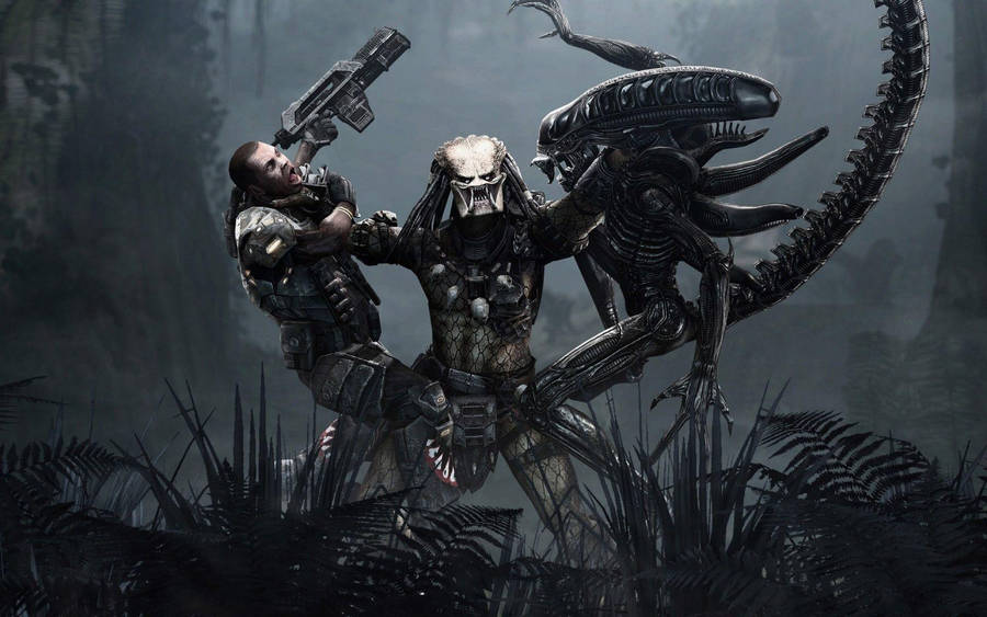 Battle royal alien art wallpaper