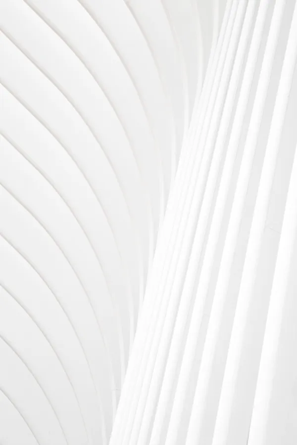 Portrait Solid White Pattern 