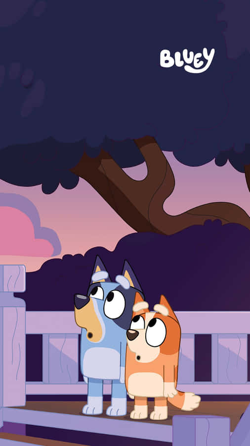 Godendosila vista con Bluey!