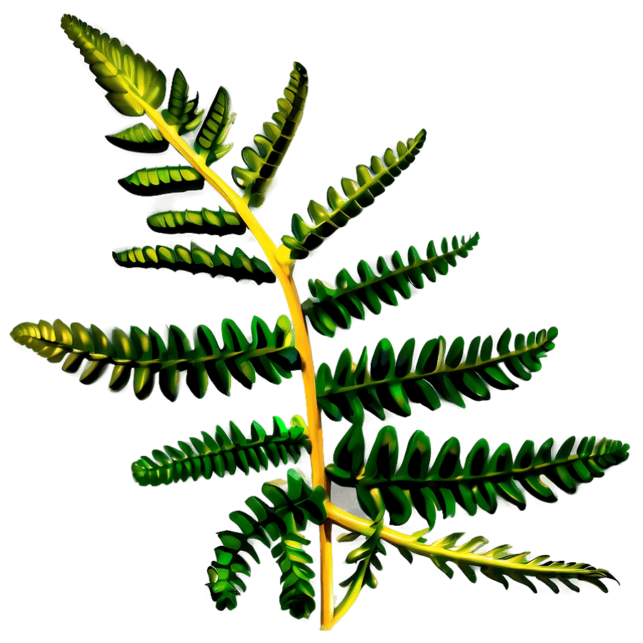 Green Fern PNG 90