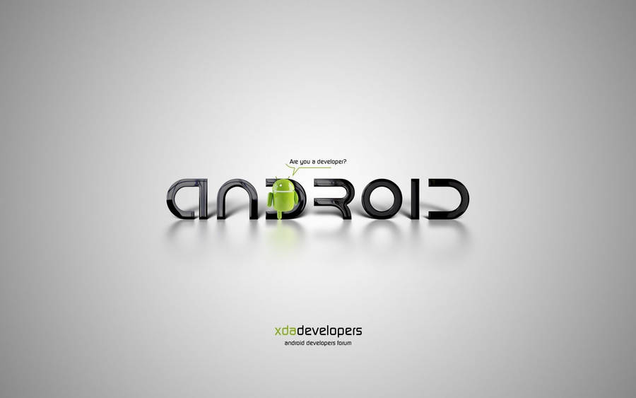 Android Developer