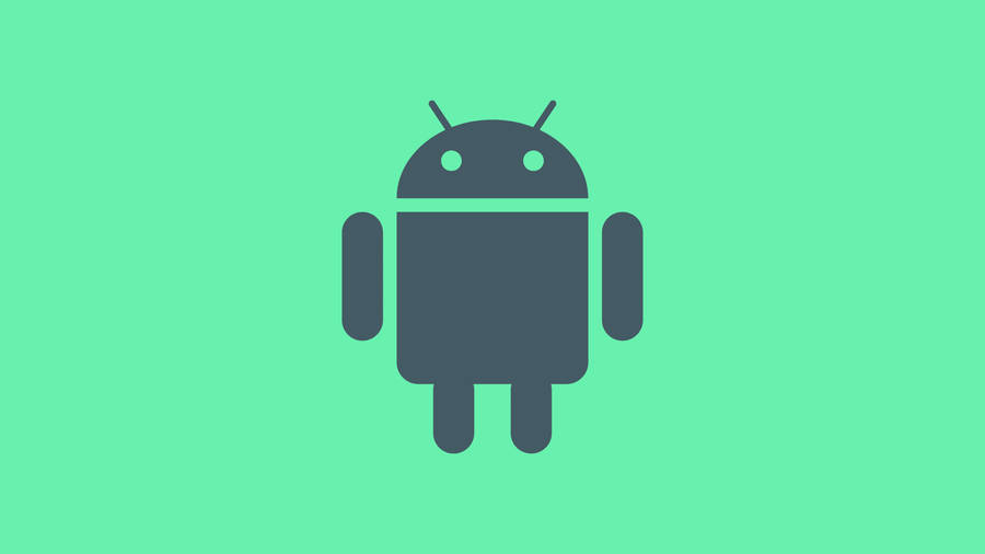 Android Developer